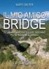 Il mio amico Bridge