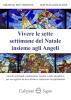 Vivere le sette settimane del  Natale insieme agli Angeli